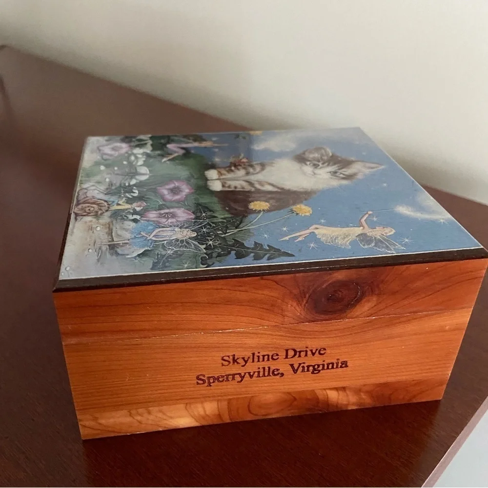 🩷 Vintage Kitten Cat and Fairy Foils Wooden Trinket Box Souvenir Cedar Box